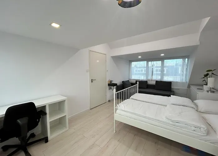 Deluxe Estate * Hoofddorp