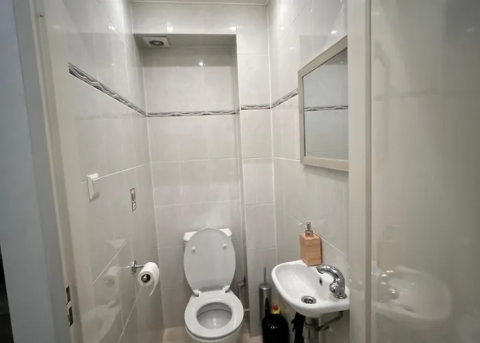 Villa Deluxe Estate Hoofddorp